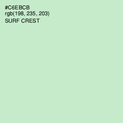 #C6EBCB - Surf Crest Color Image
